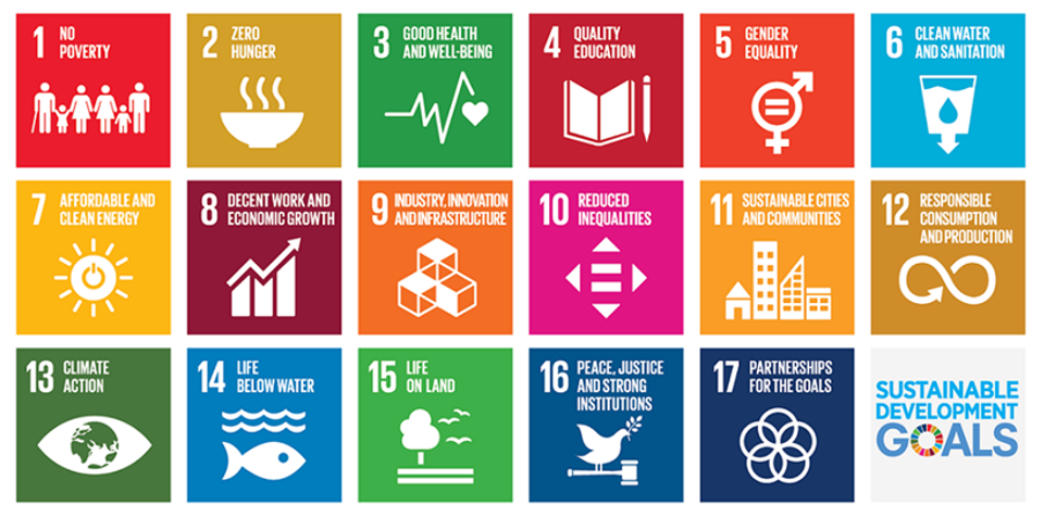 This picture shows all 17 Sustainable Development Goals (SDGs).
